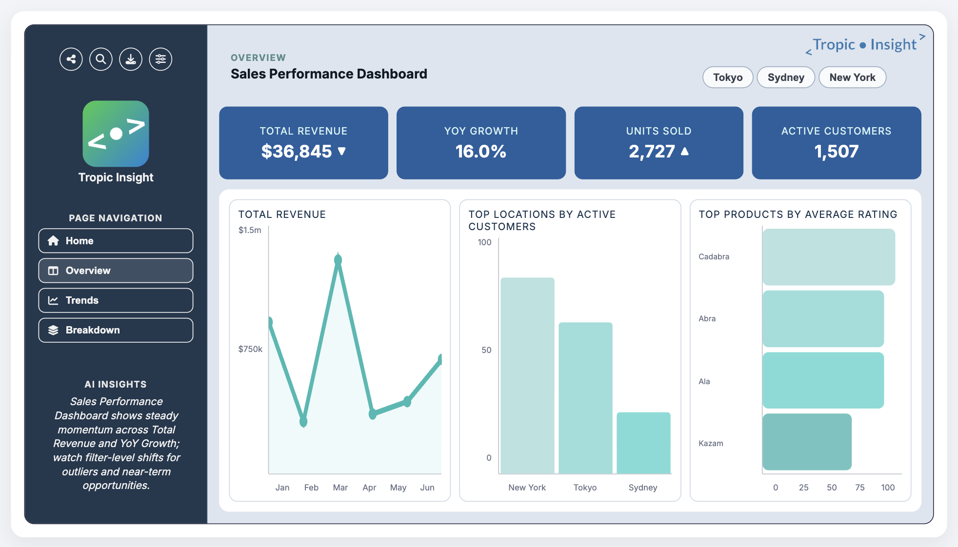 Noosa Insight Designer dashboard preview